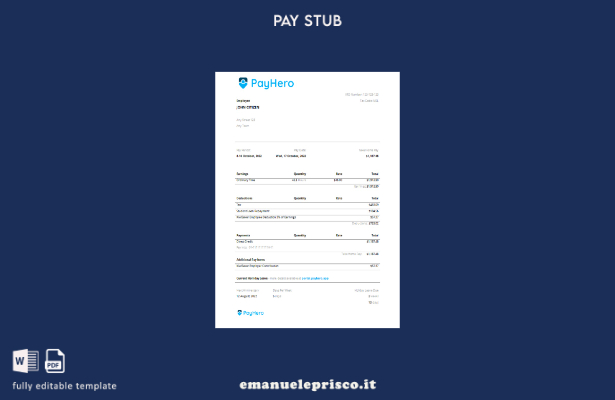 modello di busta paga della società finanziaria USA PayHero in stile verificato